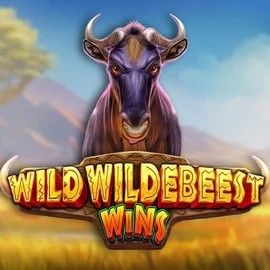Play the Wild Wildebeest Wins slot by Pragmatic Play on Spinit Casino